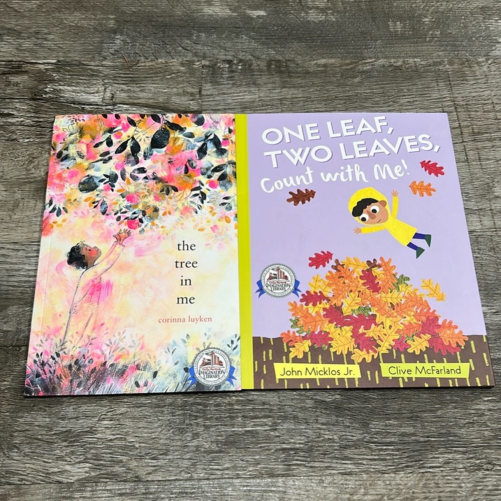 Dolly Parton Imagination Library Book Lot